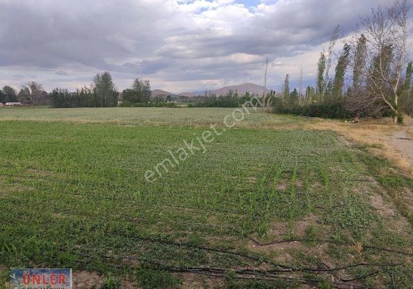 Belceağaçta Tek Tapulu 4967 Metrekare Cazip Fiyata Bahçemiz