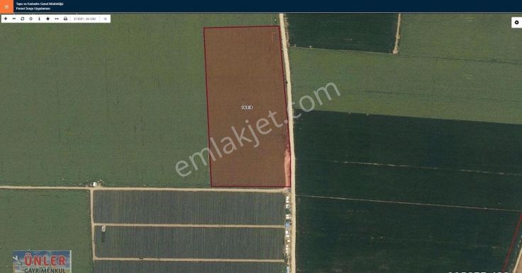 Çillerde 6 Lık Kuyulu Verimli Toprak 38 Dönüm Tarlamız