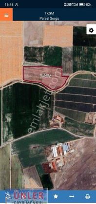 Aşıklar Mahallesi 41500 Metrekare Sulu Tarla