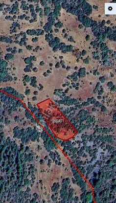 Büyükorhan Çökene'de 2 Dönüm Müstakil Parsel Bahçe Tapulu