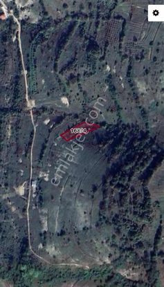 Kandıra Çalca'da 1325 M2 Müstakil Parsel Tarla