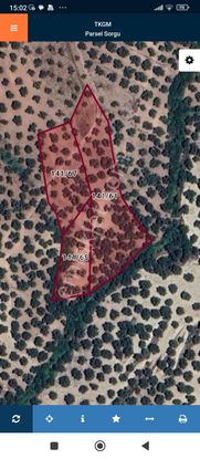 Ayvalık Mutlu Köyde Kaçırılmayacak Fırsatta Zeytinlik