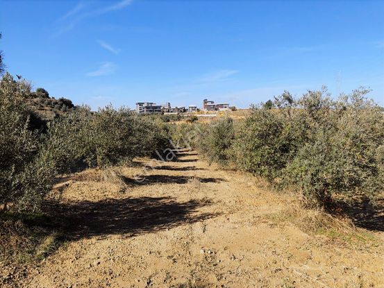 Aksu Mandırlar Satılık 3 Adet Tarla