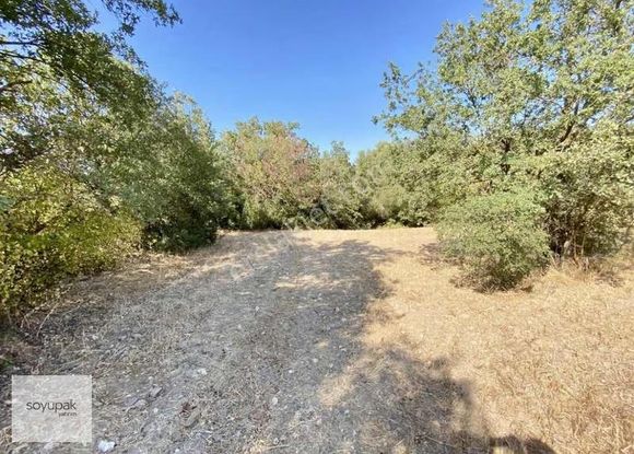 Denizli Çardak Söğütlü 121 Ada 127 Par 609m2 Tarla Müstakil Tapu