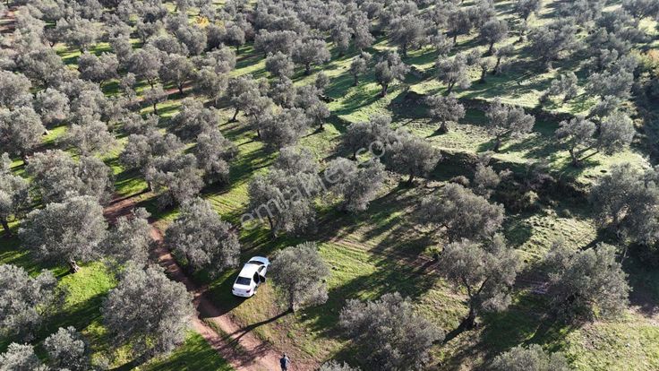 Vitrinden Tuzcumuratta 8 Dairelik 553 M2 4 Kat İmarlı Arsa