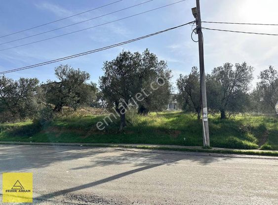 Pelitköy Denize 150m Mesafede 6 Villalık Arsa