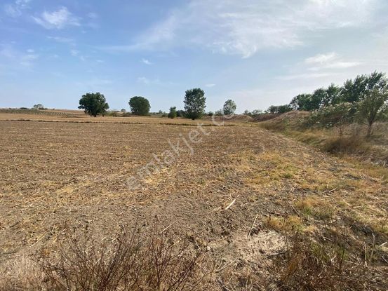 Lüleburgaz Çiftlikköy'de Asfalta 50m Yakın Yatırımlık Arazi