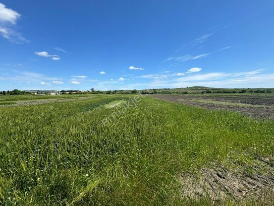 Silivri Seymen'de Kadastro Yolu Mevcut Yeri Belli Arazi
