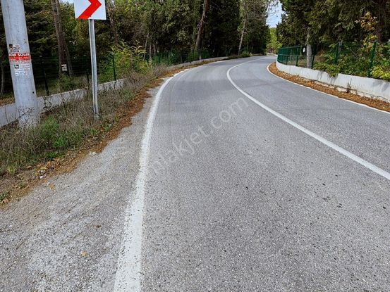 Adapazarı Salmanlı'da 3922m2 Satılık Tarla