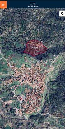 Golden Globy, Burhaniye Bahadınlı'da Satılık 34 Dönüm Zeytinlik