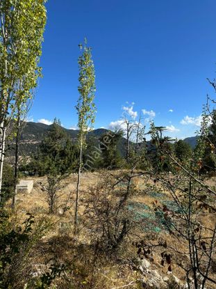 Kaş Akörü'de Yola Cepheli Satılık Tarla