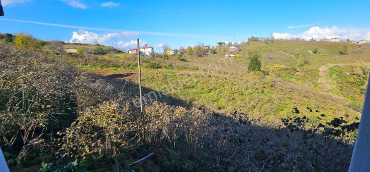 Alembey Mah Ordu Ve Deniz Manzaralı 2 Dönüm Fındık Bahçesi