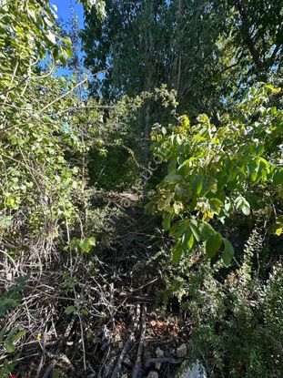 Kaş Akörü'de Müstakil Tapulu Satılık Tarla