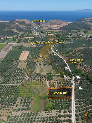 Koçak Group'tan Ana Yola Cephe Dutluk Ve Zeytinlik