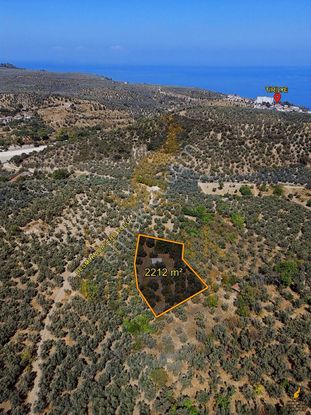 Koçak'tan Trilye'de Yapı Kayıtlı Bağ Evi