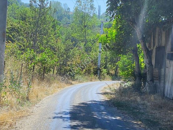 Mudurnu Çağşak Köyünde Satılık 4.384 M2 Fırsat Arsa !