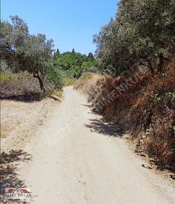 Balıkkesir Erdek Karşıyaka Da Fırsat Yolu Ulaşim Elektrik Su