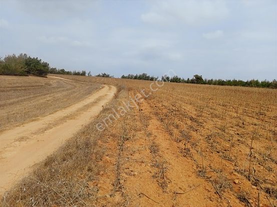 Sarıçam Ünlüce'de 46 Dönüm Verimli Düz Tarla