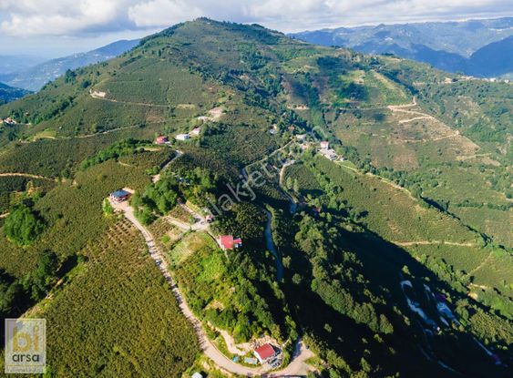 Fırsat! Ordu'da Cep Telefonu Fiyatına 423 M² İmarlı Parsel !!!