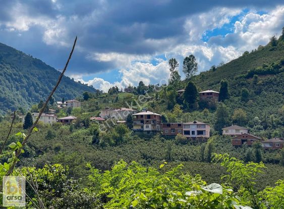 Ordu'da Mobilya Fiyatına 444 M² İmarlı Müstakil Tapulu Parsel