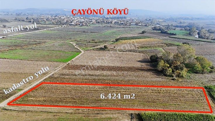 Mudanya Çayönü Mahallesinde 6.424 M² Kadastro Yoluna Cephe
