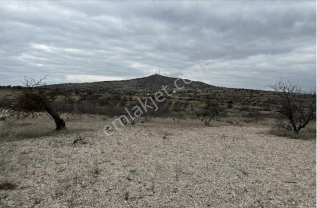 Resmi Yolu Var, Ev Yapılabilir, Benzerlerinden Çok Daha Ucuz