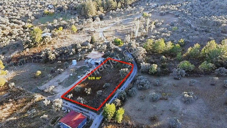 Kemalpaşa Armutluda Satılık Bahçe 926 M²