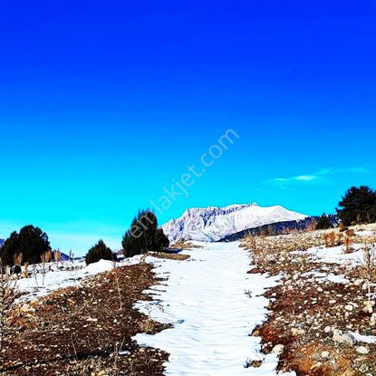 Kar Emlaktan Aşçıbekirli Fenese Mevkiinde 400 M2 İmarlı İfrazlı Satılık Arsa