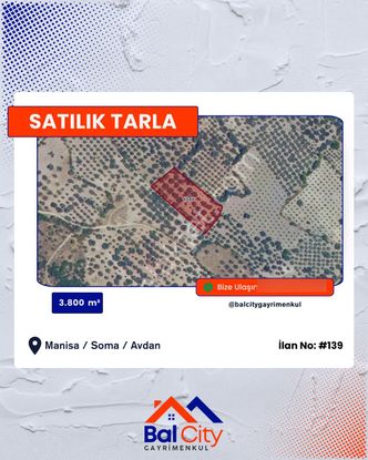 Balcity - Manisa Soma'da 3.800 M² Fırsat Fiyata Müstakil Zeytinlik