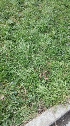 B.çekmece Celaliyede 410m Satılık Villa İmarlı Düşeş Kazandıracak Arsa No:445