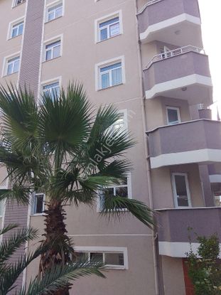 Sahibinden Kiralık Daire 3+1