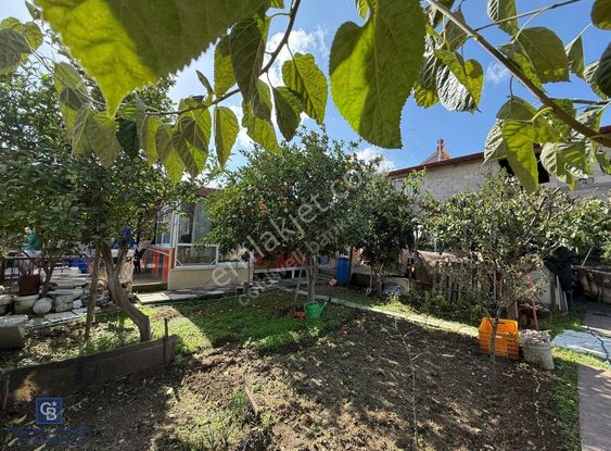 Urla İskele De Satılık Tek Katlı Bahçeli Ev