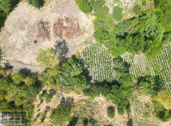 Serhatlı'dan Paşaörende Satılık Arsa