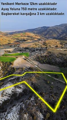 At_deresi_yakını Ormana Cephe_tek Tapu_bahçeye__uygun 3881m2