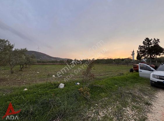 Bilecik Vezirhanda 278 M2 İmarlı Arsa