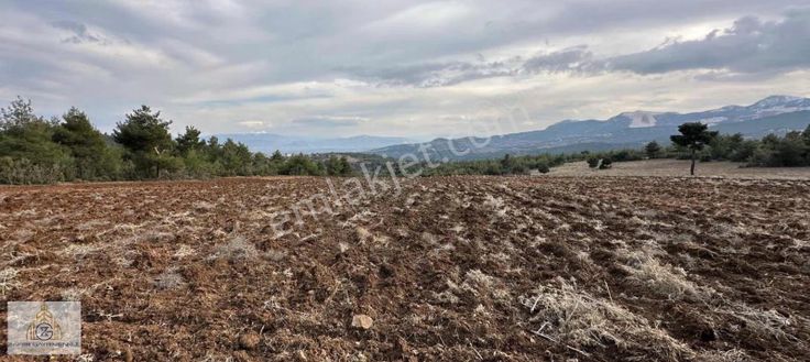 ️yerleşim Merkezine Yürüme Mesafesinde Uygun Fiyatlı Arazi...