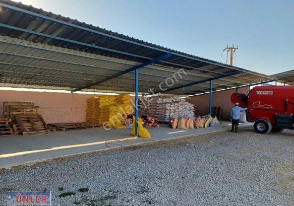 Türkmen Mahallesi Tam Teşekküllü Çiftlik Satılık