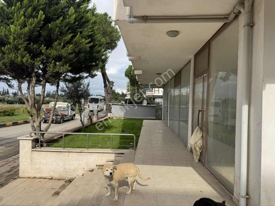 Esnaf'tan Cadde Üzeri Gömeç İn En Güzel Dükkanı Kiralık