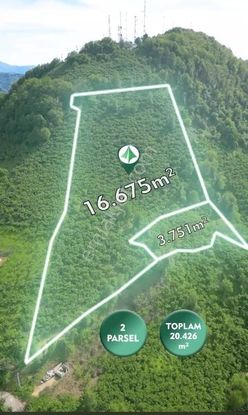 Delta Gayrimenkul'den Bulancak Samugüney De Fındık Bahçesi