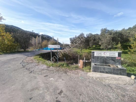 Golden Globy, Burhaniye-karadere Ana Yol Üzerinde ​satılık 2.214 M2 Hobi Bahçesi