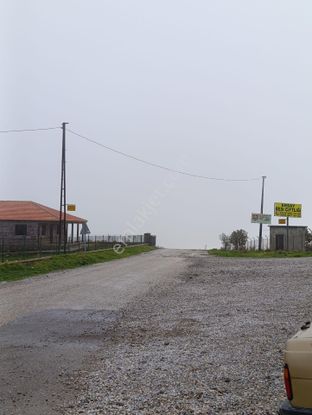 Bozalan Köyünde Satılık Müstakil Tapulu Zeytinlik