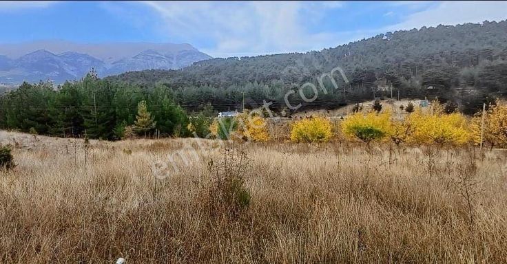 Pozantı Eskikonacık Yaylasında 2016 M2 Tek Tapu Satılık Arsa