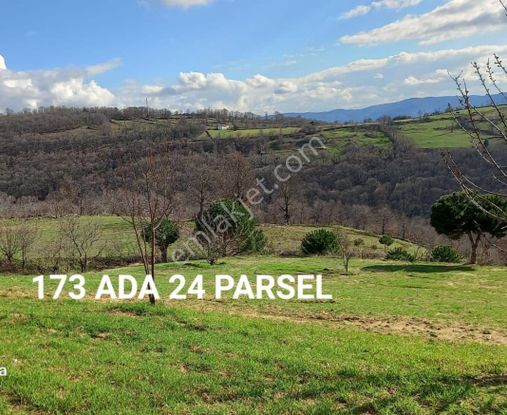 Mir'den Balıkesir/kepsut/serçeören'de 936 M2. 2kat İmarlı Arsa