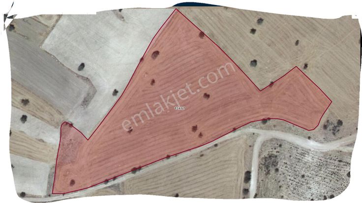 Özpınar ,dan Fasıllar Konya Yoluna 3 Km. Yolu Olan 22 494 M2 Tarla