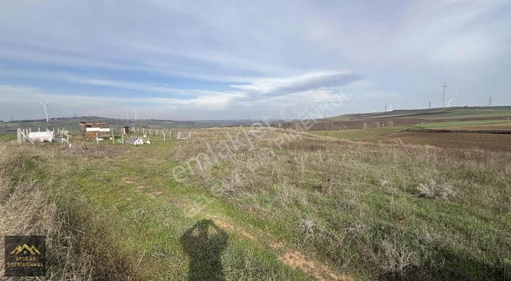Silivri Fenerköy Yola Cephe 263m2 Köye Yakın Acil Satılık Tarla