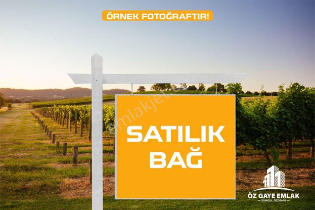Öz Gaye Emlaktan Develi Gölemen Mevkiinde İmara Sınır Satılık Bağ Yeri