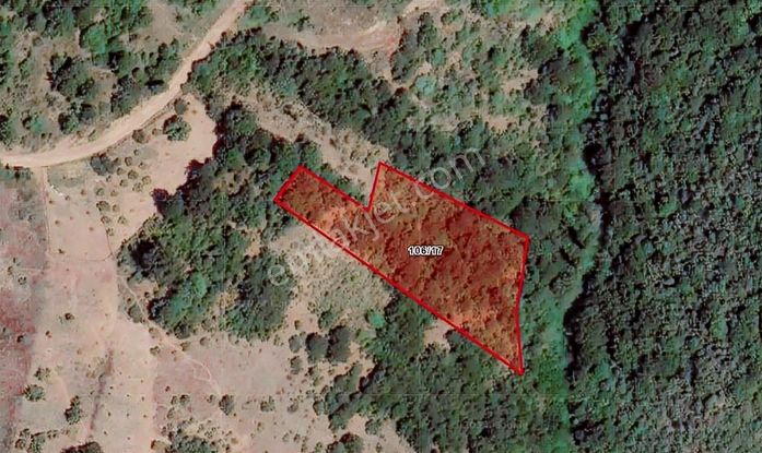 Yenişehir Yıldırım'da Emsallerin Altında Yatırımlık Tarla