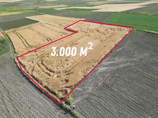 Gönen Killik'te 3000m2 Köye Yakın Konumda Verimli Tarla