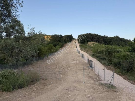 İznik'te Fırsat !! Asfalt Yola Cephe Hobi Bahçeleri Son 5 Parsel