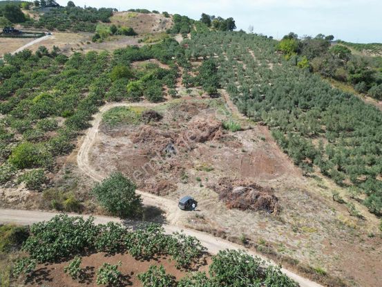 Gündoğduda 3.920 M² Tek Tapu Araç Takasına Açık